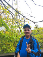 李丹民