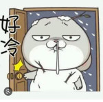 番茄炒蛋盃