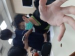 徐徐字亨-大頭照