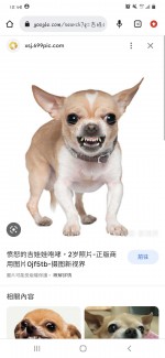 楊子力-大頭照