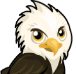 ! Eagle_老鷹！®-大頭照