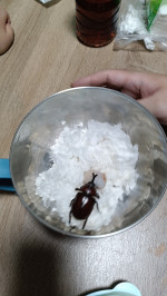 卓楷恩-大頭照
