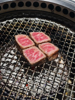 王昶文-大頭照
