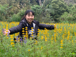 葉藴馨