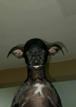 張耀-大頭照