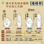 唐唐-大頭照