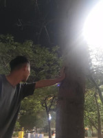 陳冠穎-大頭照