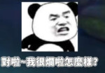 陳冠仁-大頭照