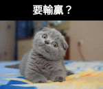 陳韋廷-大頭照