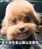 吳啟有-大頭照