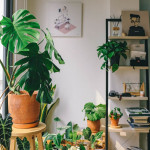 李宜展-大頭照