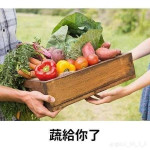 蘇奕安-大頭照