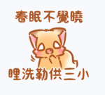 蔡詠晴-大頭照