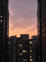 周彥均-大頭照