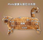 黃學文-大頭照