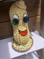 陳廷-大頭照