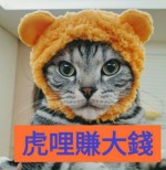 陳盈旭-大頭照