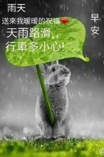 陳毅展(德協)-大頭照